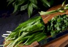 Leurda, cel mai bun energizant natural