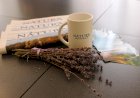 Revista Natura, pâinea noastră cu maia