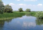 Delta Dunării: Paradisul păsărilor