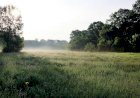 La Călinești, locul unde pădurea își dă întâlnire cu lunca