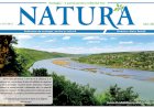 Numărul Iulie 2020 - descărcare gratis pentru toți!