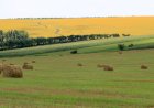 Natura nu dă nimic omului fără mare străduinţă