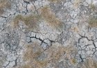 Însetat de putere, Dodon vrea să lase Moldova şi fără apă