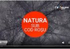 Natura sub cod roşu: Aerul din Chişinău devine din ce în ce mai toxic