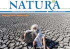 Numărul Septembrie 2020 - descărcare gratis pentru toți!