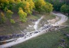 „Datorită fotografiilor Dvs am văzut ce frumos arată țara noastră”