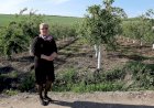 În Moldova se va deschide prima fermă eco de porci din țară