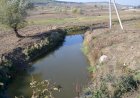 Expediţii ecologice pe râul Botna