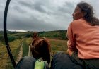 Povestea celor patru cai. O altfel de călătorie prin Moldova