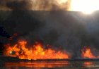 Incendiile de vegetaţie - un pericol pentru viaţă şi mediu