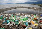 De unde începe educaţia ecologică