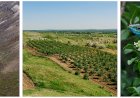Concursul Wiki Loves Earth 2021 în Moldova revine! Fotografiază ariile protejate și câștigă premii!