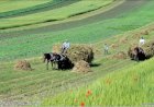 ECOLOGIA SUFLETULUI NOSTRU