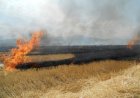 Arde pământul