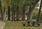 Modificări cu riscuri de corupţie în legea privind spaţiile verzi: fără expertiză obștească și fără acordul cetățenilor