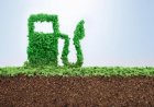 Marea dilemă: producţie alimentară agricolă sau biocarburanţi?