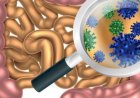 Infecția cu rotavirus: transmitere, simptome, tratament și prevenție