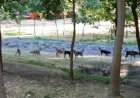 Unde ne mai putem plimba în siguranță în Chișinău?