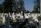 Mormintele deputaților Sfatului Țării – un subiect important de cercetare