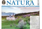 Iubirea adevărului și aproapelui
