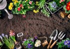 Lucrări pentru luna aprilie în grădină și livadă