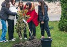 Școala ne învață să gândim logic ca să trăim ECOlogic