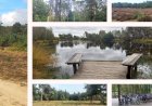Parcul Național „Hoge Veluwe” din Olanda