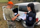 Inspectoratul pentru Protecția Mediului (IPM) va fi reorganizat