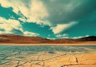 Pleacă morcovii, vin smochinele. Cum să ne adaptăm schimbărilor climatice