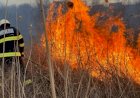 Pericol major! Incendiile izbucnesc și se extind mai ușor pe caniculă