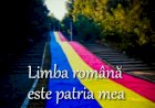 Iubește limba română, așa cum iubești victoria și înfrângerea!