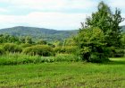 Avem nevoie de păduri durabile