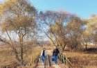 PROTEJAREA NATURII – OBIECTIV AL CREAȚIEI