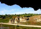 Pădurea Domnească