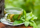 Dieta de detoxifiere după mesele de sărbători
