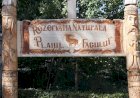 Țara Fagilor din dreapta Prutului