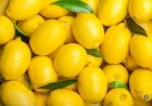 Fructul care poate elimina mirosurile neplăcute din frigider