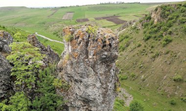 Valea râului Racovăţ