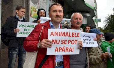Ce au în comun vânătoarea și guvernanța de mediu