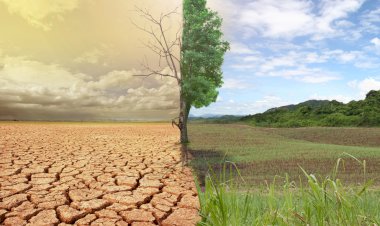 Specialiştii atenţionează:  Apa din subteran nu este bună pentru irigare