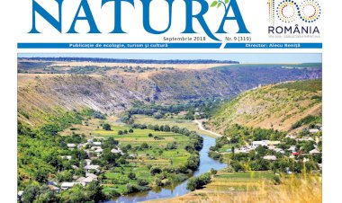 Școala, grădina uitată