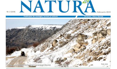 FACEŢI-VĂ DREPTATE!