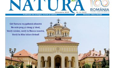 MAREA UNIRE