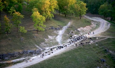 Basarabia frumoasă