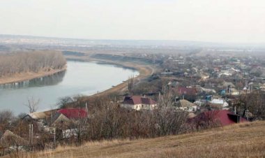 Vrem păduri, nu cariere