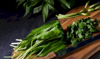 Leurda, cel mai bun energizant natural