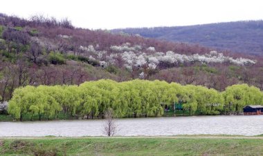 Un decor de poveste la Cărbuna