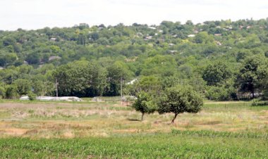 Corjova: santinela de la Nistru