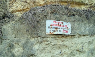 Peștera Surprizelor