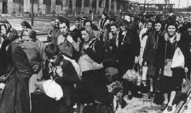 Tragedia unui popor, în cifre